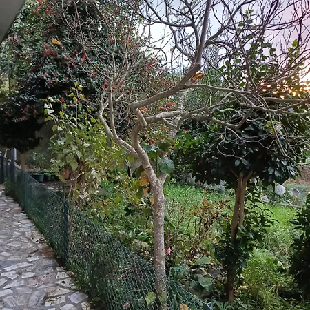 Amarante Residence Buitenkant foto